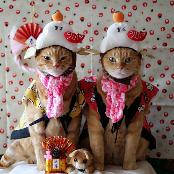 C714bfca 0feb 4899 95cf f4de1fe08231 1514735853800