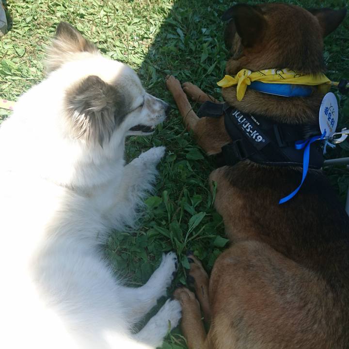 C714e7e7 9838 4114 98d1 934a0a4933d9 1528026734788