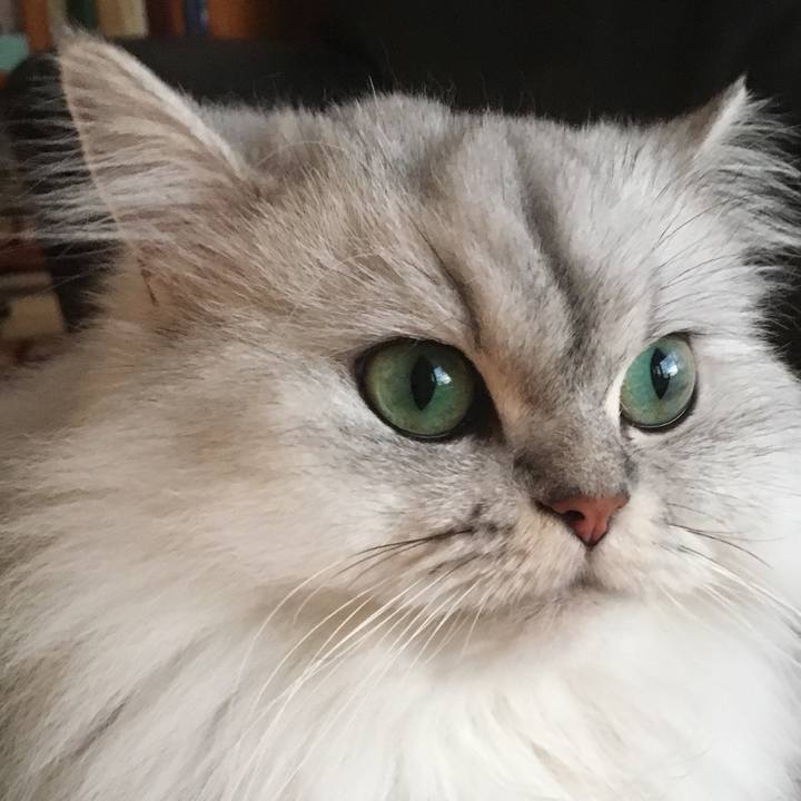 C714ed58 a8bf 4066 821b fc8dc382e087 1525004471006