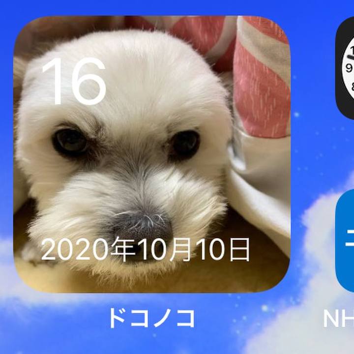 C7152808 4cab 411d 8f09 3d77aa858082 1634384974792