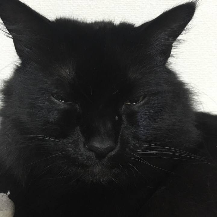 C7152bb2 3de4 43b9 b452 822872bdfd31 1520446634862