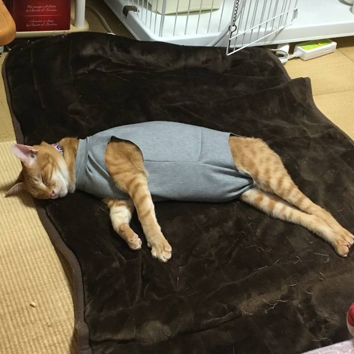 C71552ff 1e9f 44be 897b 7e14c9263e44 1521622998486