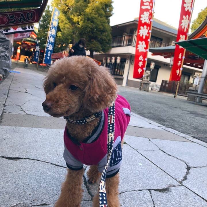 C71565ea 27cd 4379 8bfe 574894d4db95 1609224666298