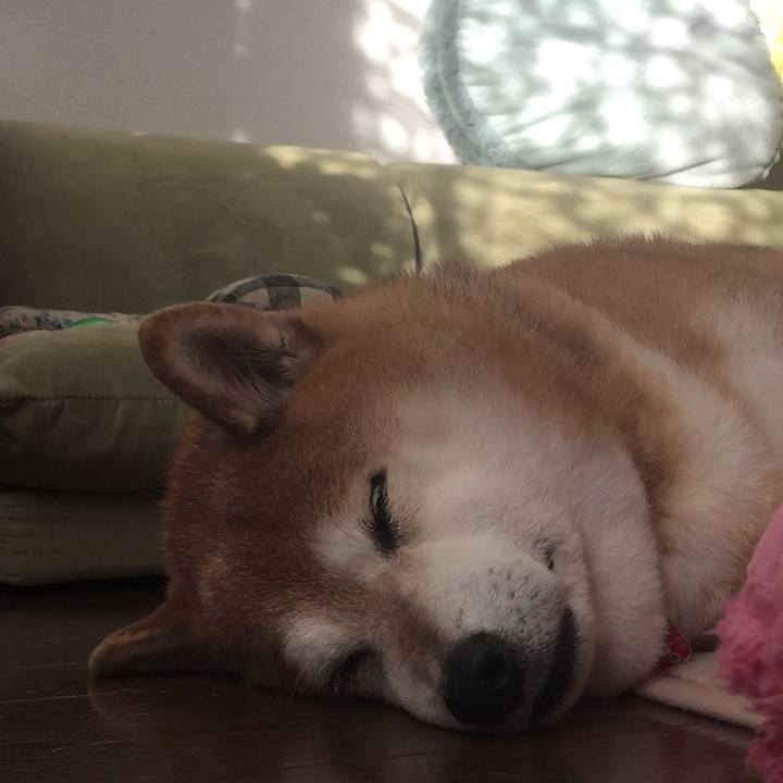 C715ab8e 5edd 42eb a766 1449db4c61ca 1514873783298