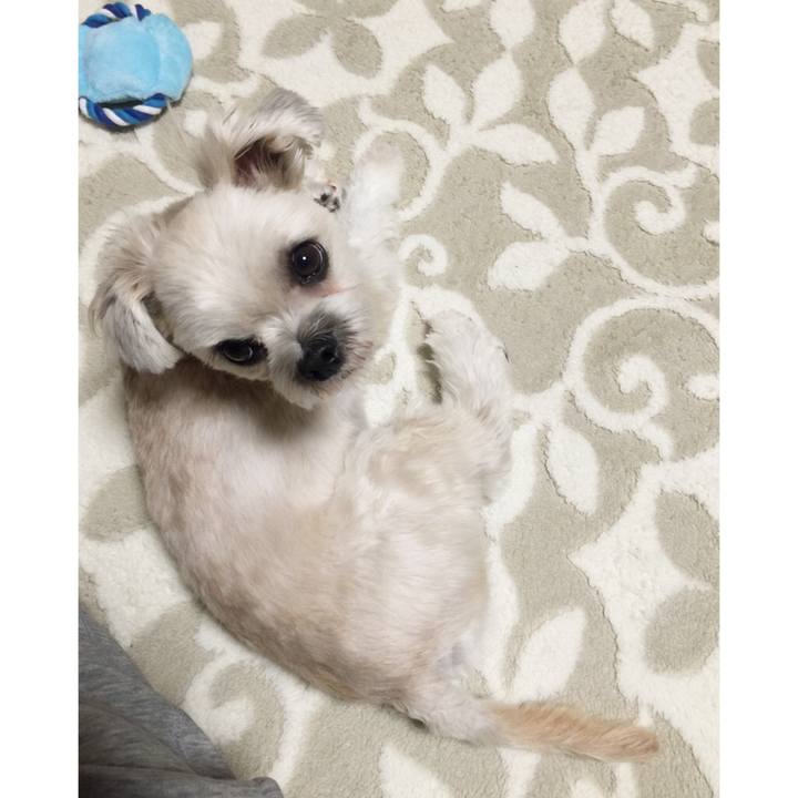 C715b932 11cc 4f14 9018 bd2264986c1d 1545048995380