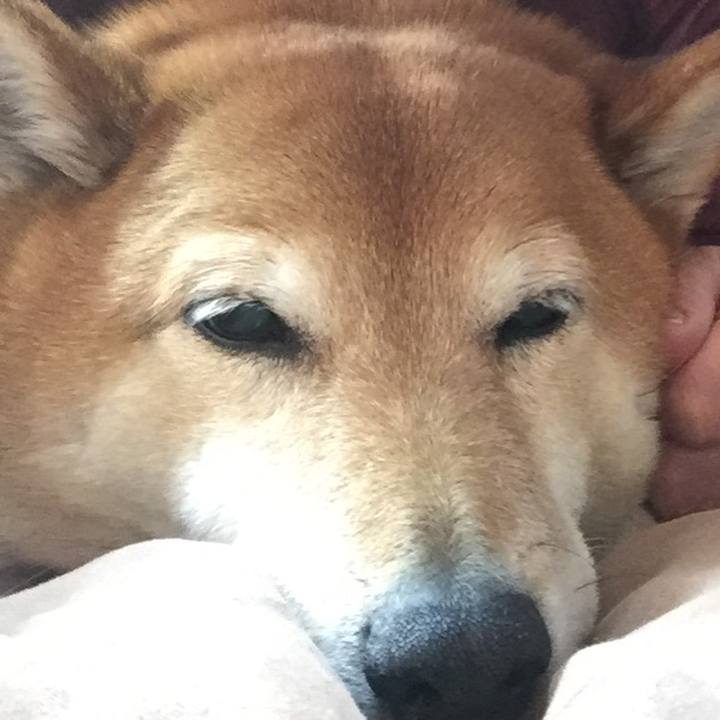 C715ea38 6e99 4e1c a54c 7b84011887e0 1552802441167