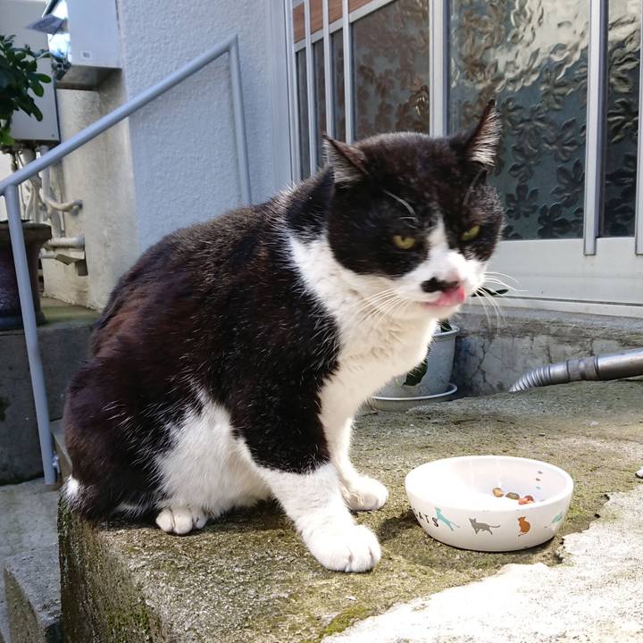 C715ed5e f345 4b10 a94c 42ed880489a4 1679198024061