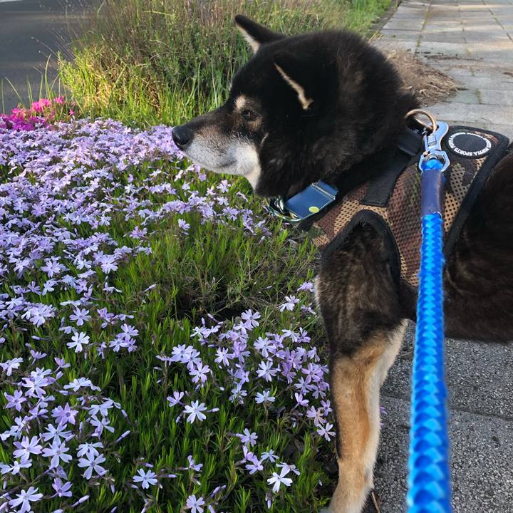 C7160aed 3d25 4896 a97e 987efaa9e6e0 1557791467730