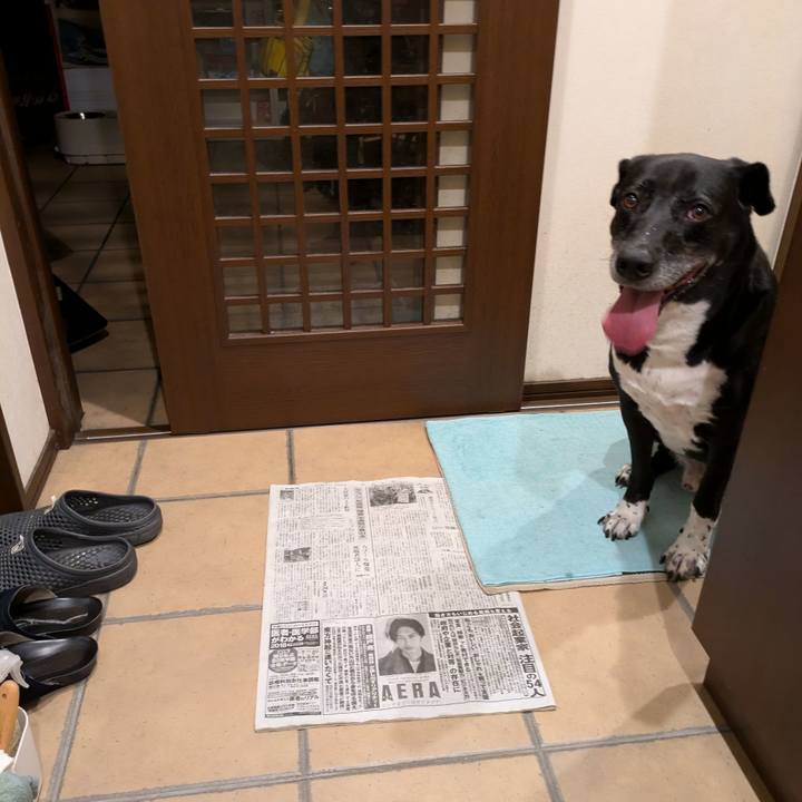 C7160f30 8b82 4bd1 bfbc 0faab0674b2a 1721560471300