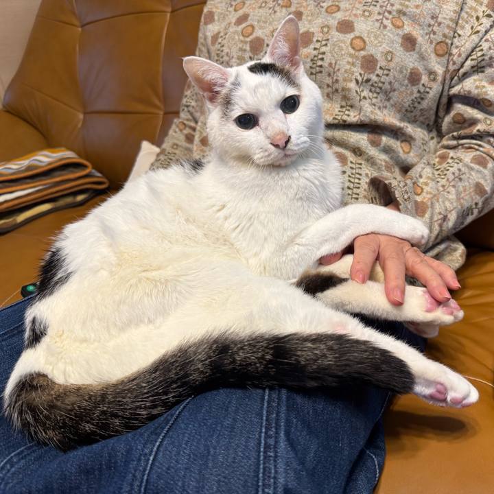 C7161a90 b044 4420 af32 1b07b0737cac 1761442528989