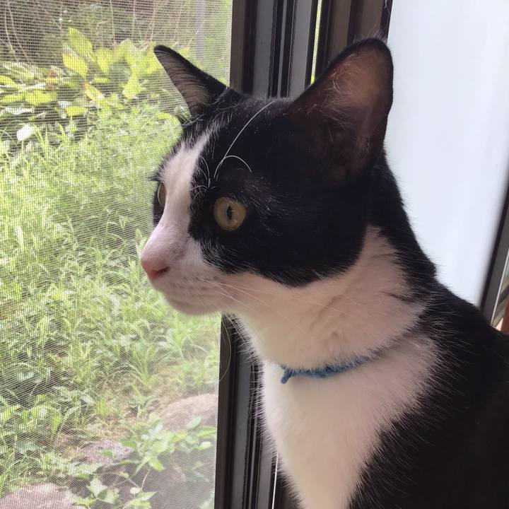 C7161c9a 8e3b 4f20 88dd 784f4bbfbbd8 1658976497631