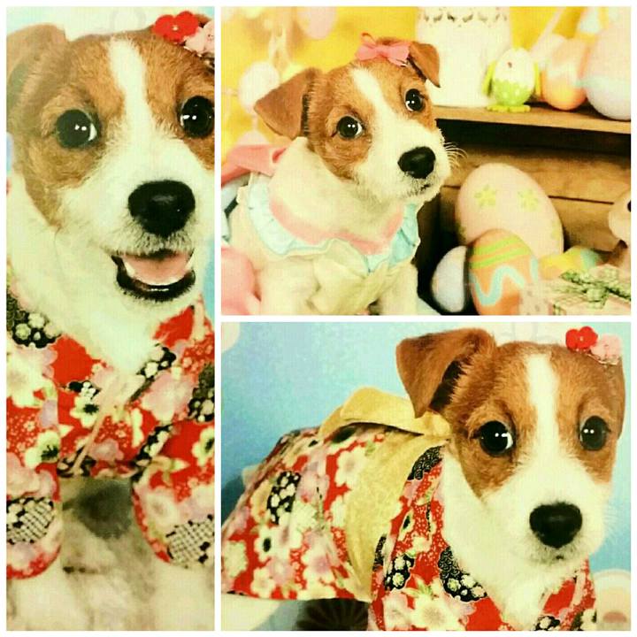 C71629fb ce45 4a87 999d 48bf61bd39ec 1520980342167