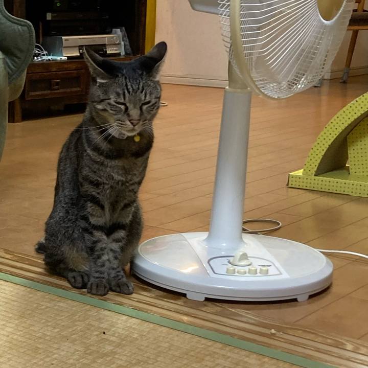 C716324e cc5c 4e1c 8ca7 8623eca947c8 1630314603052