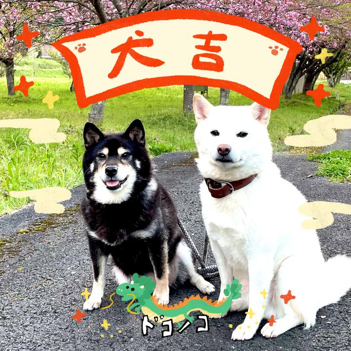 C7165588 d9b8 4c96 9375 4662c086d376 1704365000055