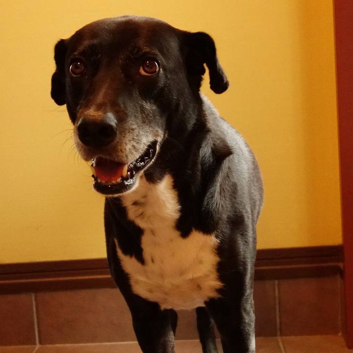 C7168e9e ee07 4ac8 a915 eda8e3411f6c 1724455468738