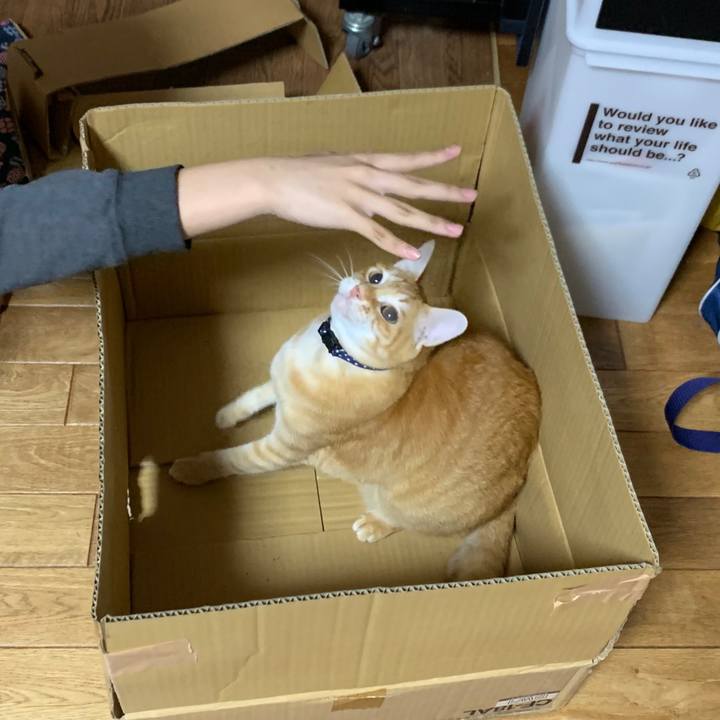 C7169c28 6c76 4ac5 97f2 43fe6f61d80d 1586442686181