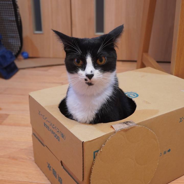 C716cbb4 6a82 43cf b847 ab2a1a867fdc 1601206746270