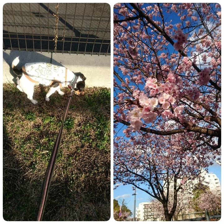 C716fd9b b611 4824 be02 bac854f2ceaf 1552478130915