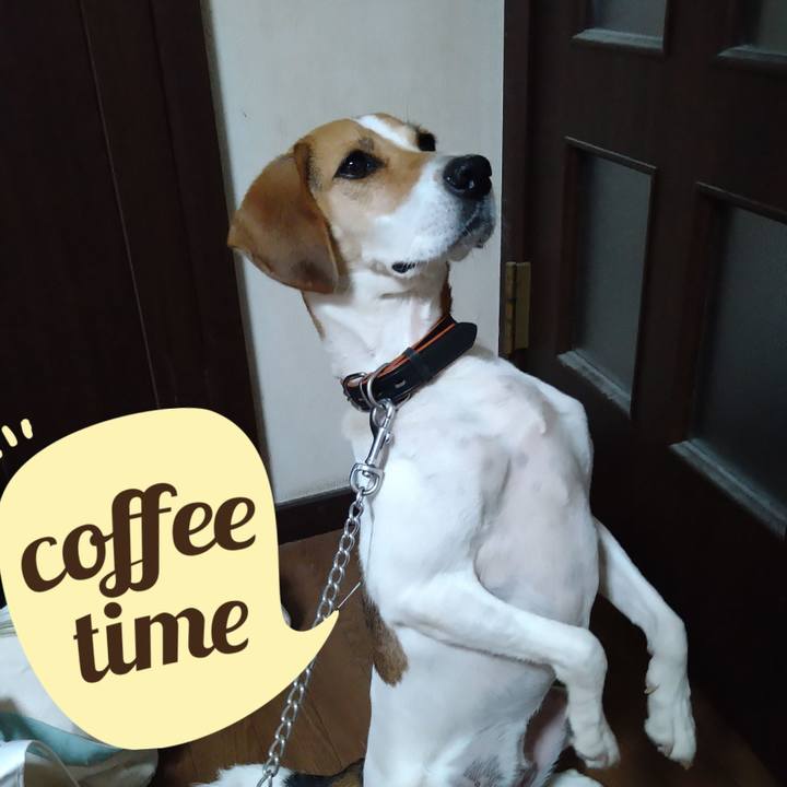 C717577b 4029 4012 91f8 39019b1f0f19 1632489955148