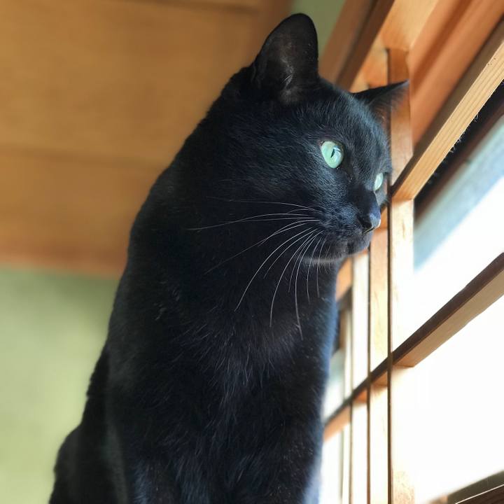 C7179bc3 abfe 4771 9f91 5e9388417927 1514418542424