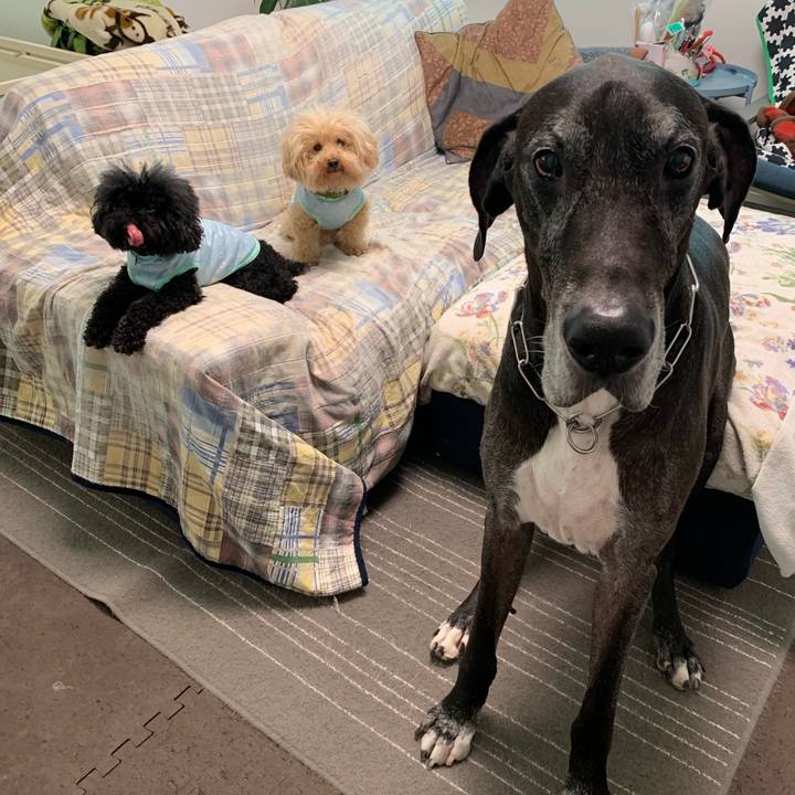 C717ab4a 2fed 4b97 b5d2 a3cc48f7d192 1568845831586