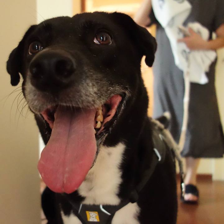 C717b0b2 6533 47ee 941f da87e95aec5a 1660990166913