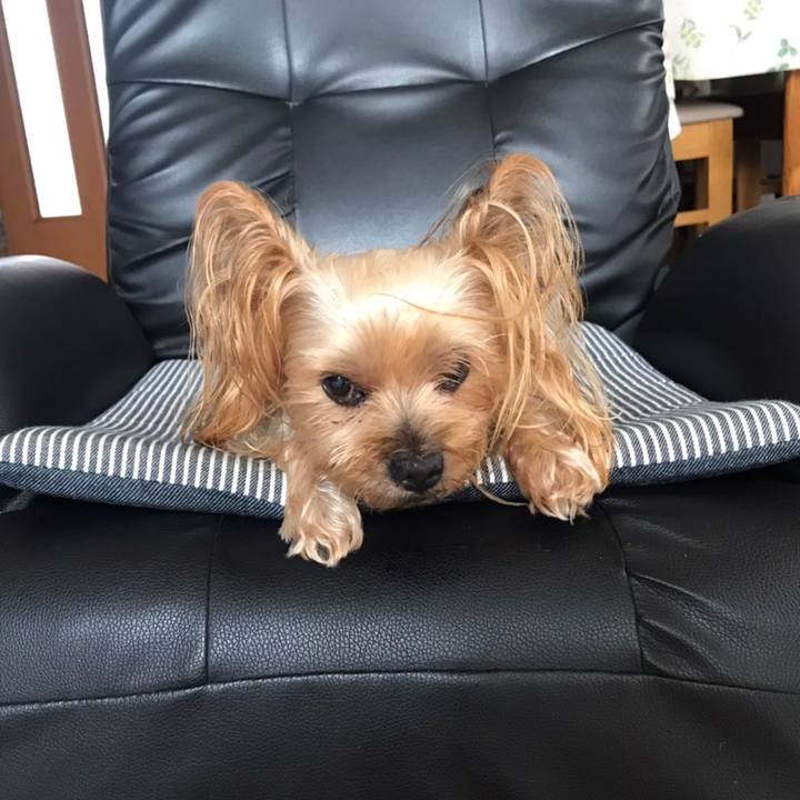 C717e0b7 806d 464d 8ee1 0b97be1f0dd6 1599385009609