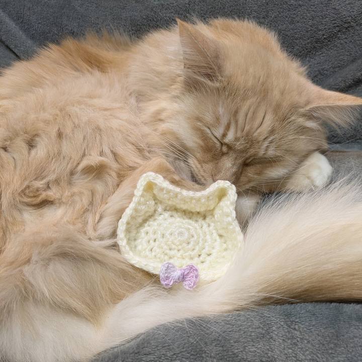 C717f2bb 7671 44ba 904d 5d51420636d4 1768838495408