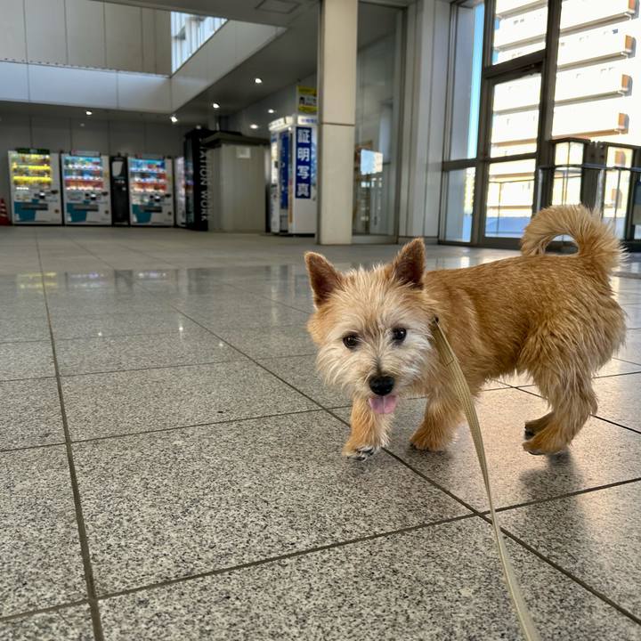 C718232f bdf7 44f7 a7ee 5d56d5bde297 1709475169954