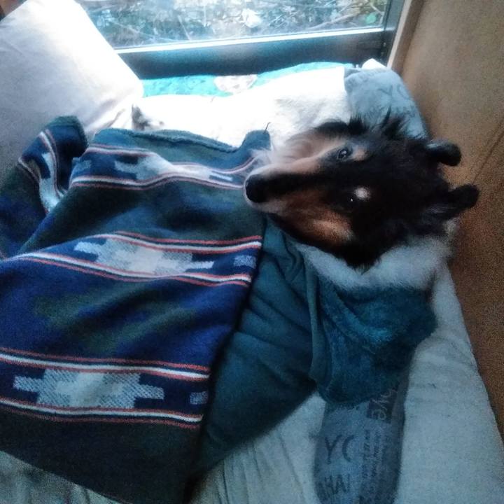 C7182a8c face 4526 987e 2afcf14116ab 1550492920365