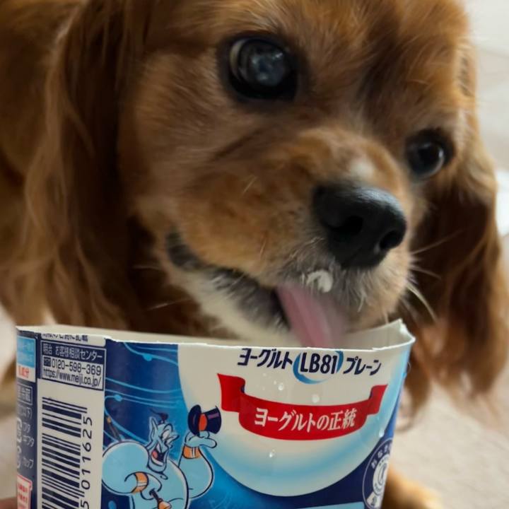 C718498e e922 47f8 9d91 0577784991b8 1687956002675