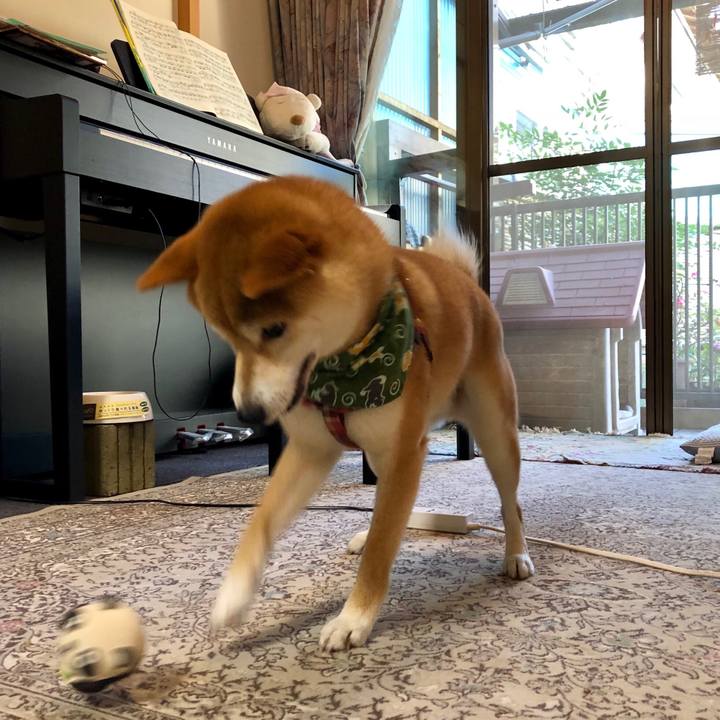 C7184a8b b041 4a87 9bdc 6000a3d9f7f8 1530671187274