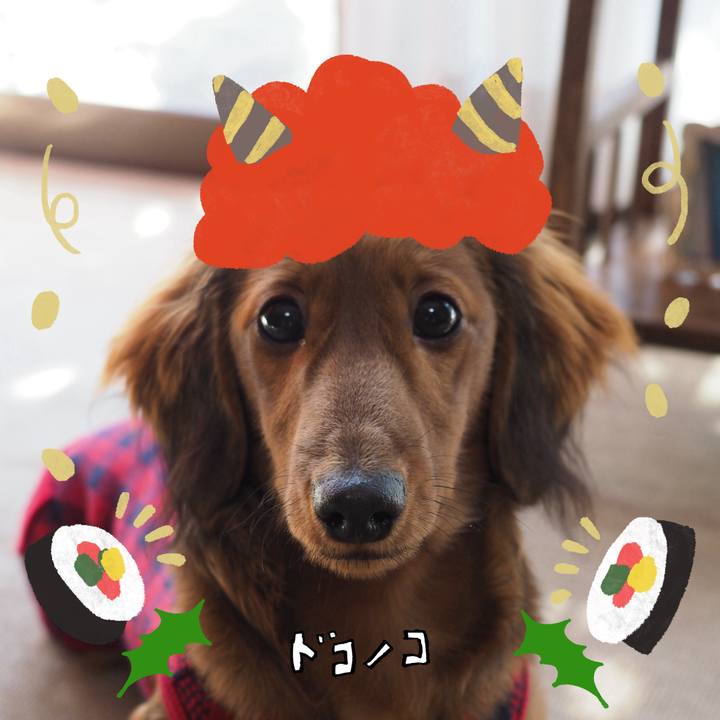 C7186254 1d0b 442d 8be5 72273de5c055 1706929799044