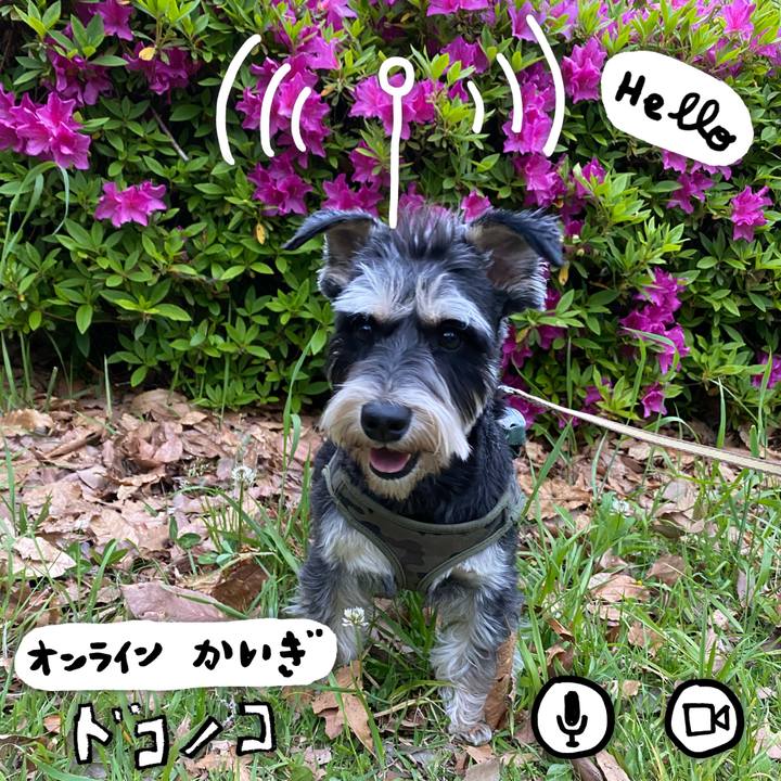 C718845a 6cfa 4043 9850 fadc26b964f0 1590767350274