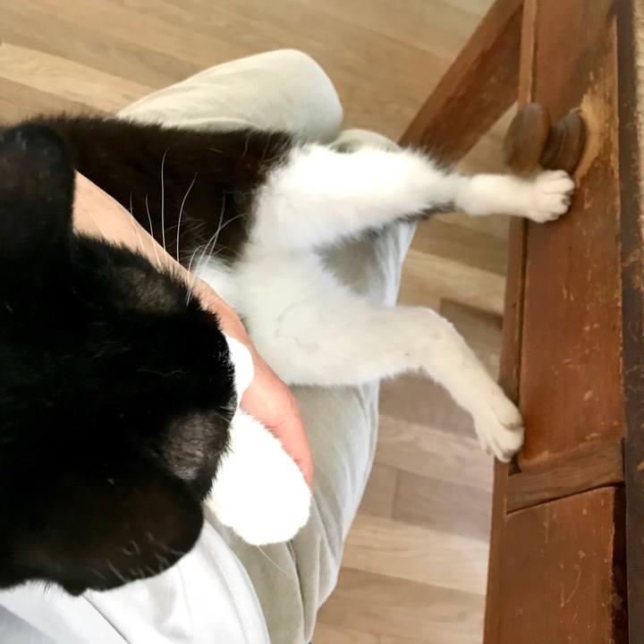 C7189835 8494 44a4 80b3 461933fdbcf6 1532144020551