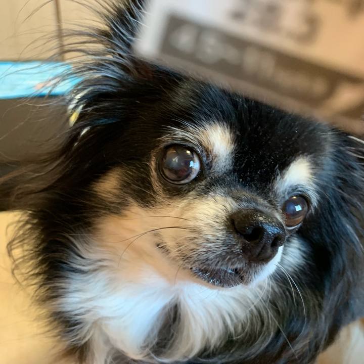 C718aaaf 1f32 4666 b197 bbb175cb6191 1568534802571