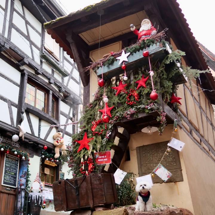 C718c09a 4bb4 4f69 8116 77bc93048bc4 1767049436266