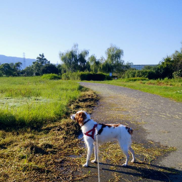 C718dc1d 7c84 4488 a7cb c520447aa3ad 1538096333390