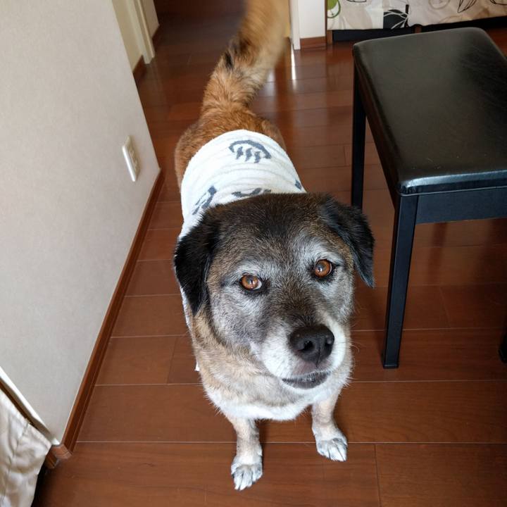 C71907c2 c67f 42d9 85e6 01def4afa79d 1525149800673