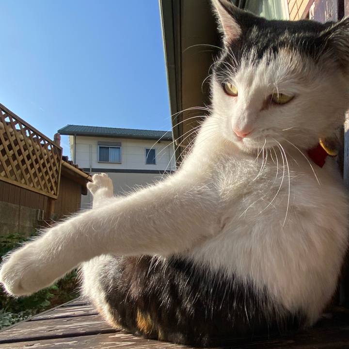 C719173e dd10 435b 8ca7 448224800027 1640316471389