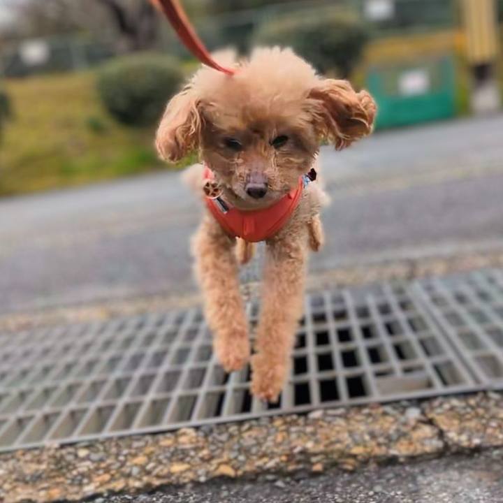 C719276e 7623 4c7c a9f3 bc159d2550af 1773885530531