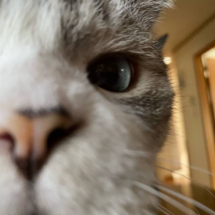 C719315e a1c8 4df7 8e18 2f8be54305f3 1598668003882