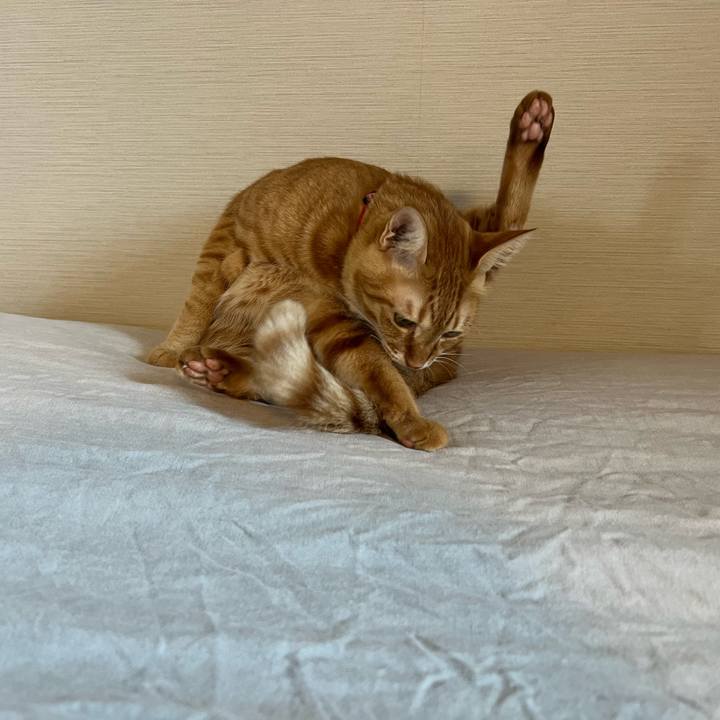 C7193f6a 111a 46bb 943a 4d75fec9a52d 1697755313469