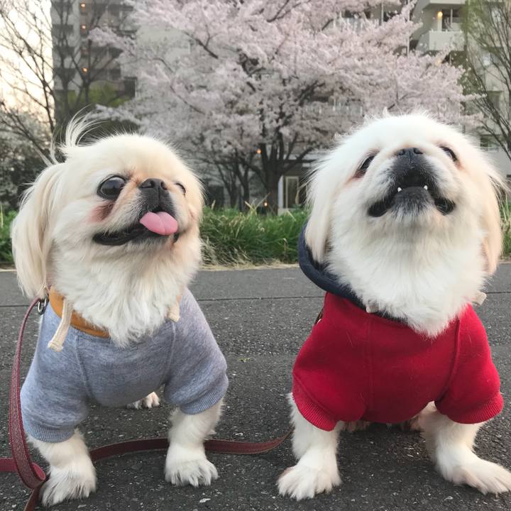 C719652d ec47 4053 bd56 d1142f183c34 1522320684312