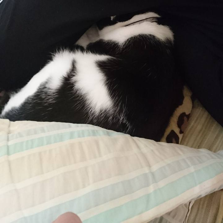 C7197fc2 11fa 478e 90c0 47c6b2015c29 1508626638389