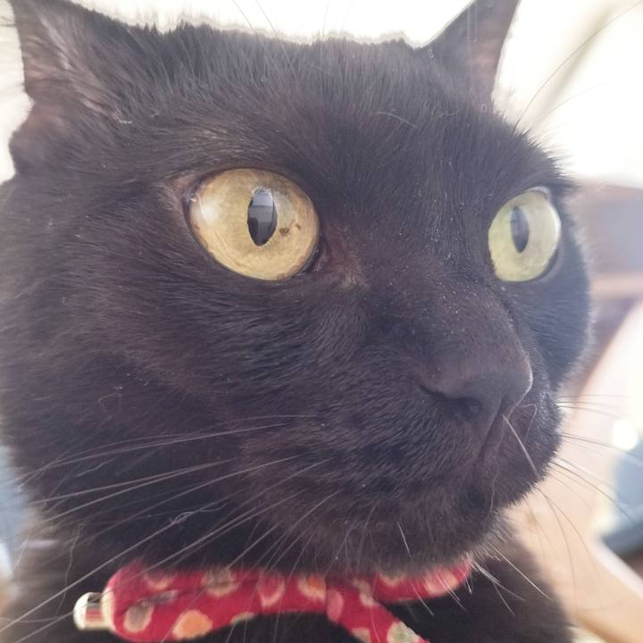 C7199aa4 24db 4da8 8864 24e9e48e492a 1688769624613