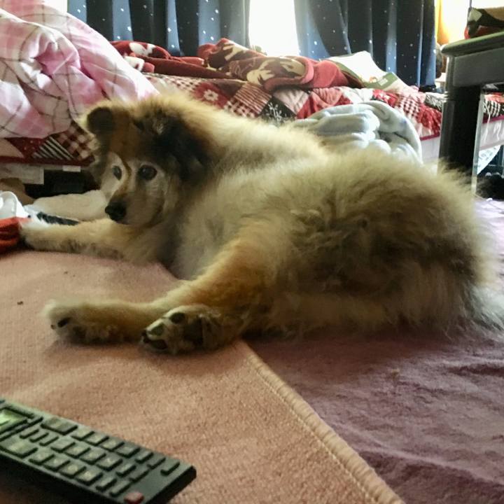 C719aa0d 795d 40a5 babb 45f5dfc056e4 1587910788452