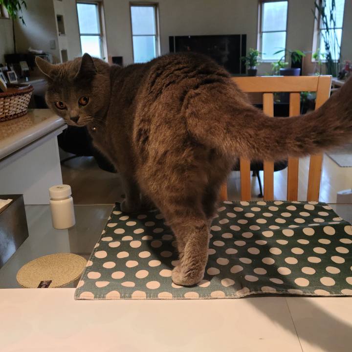 C719b28e 4ff5 49de a101 53dabe612f98 1620859480718