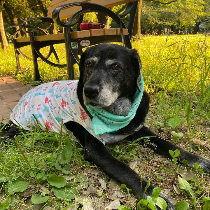 C719b929 e67a 41f4 bf65 eb2d8ad70ebe 1717592549117