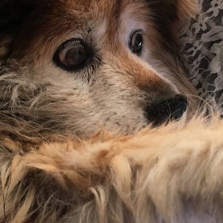 C719ceae 7adc 4540 ac92 9bd5b8d05833 1569820808848